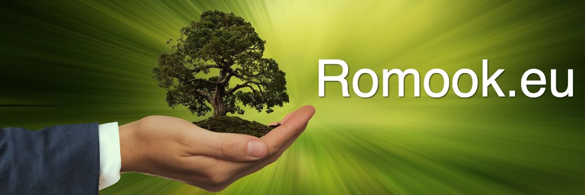 romook.blogavontade.com